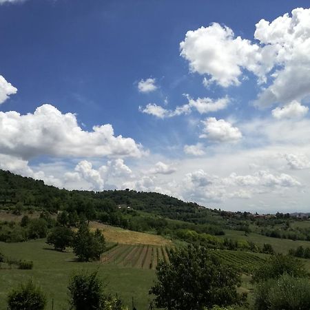 Azienda Agricola Garoglio Davide Alfiano Natta Kültér fotó