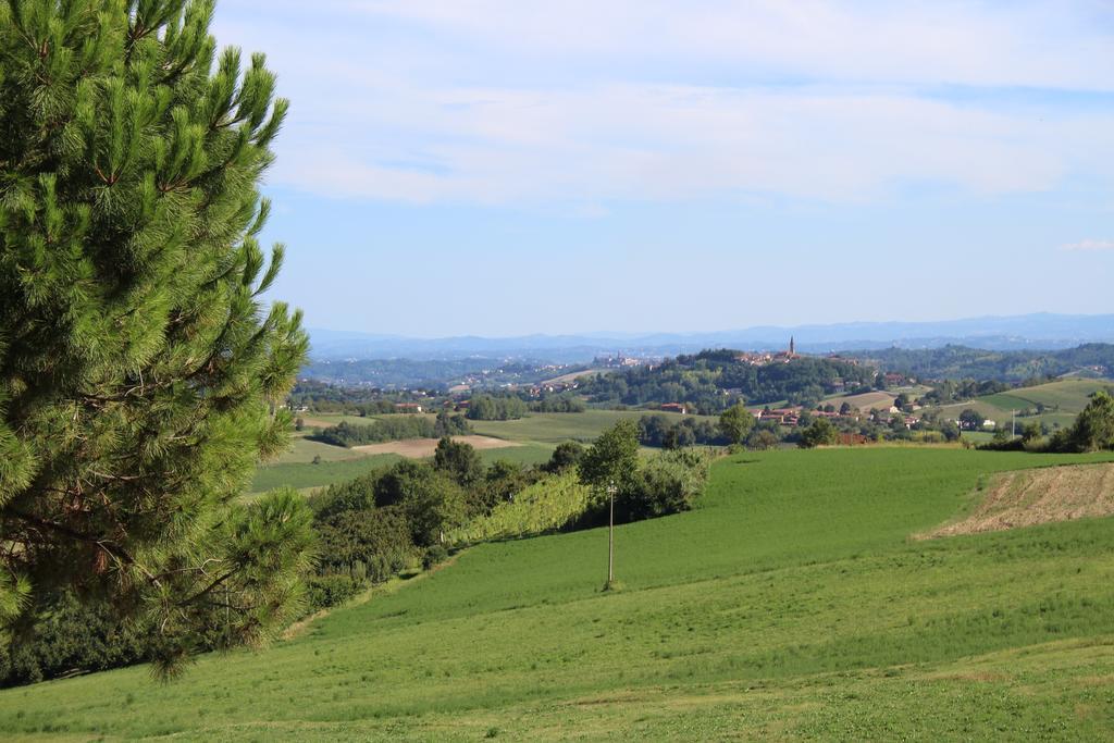 Azienda Agricola Garoglio Davide Alfiano Natta Kültér fotó